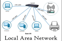 LAN (Local Area Network)