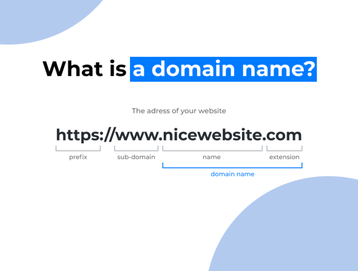 Domain Name