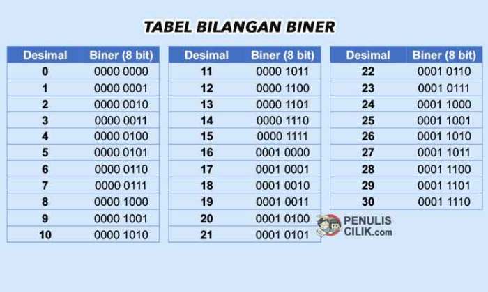 Pembagian biner 1001 : 0011