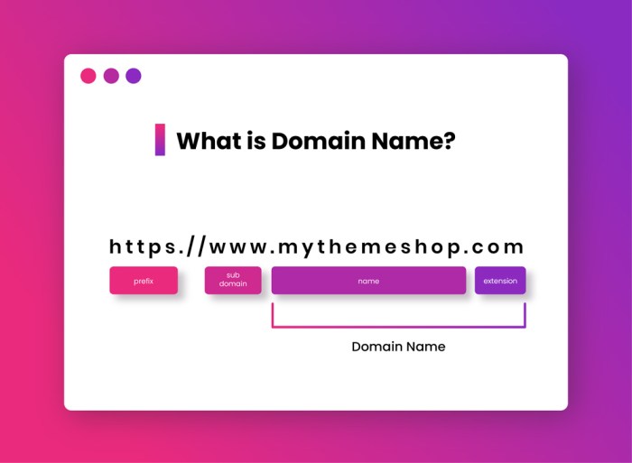 Domain Name